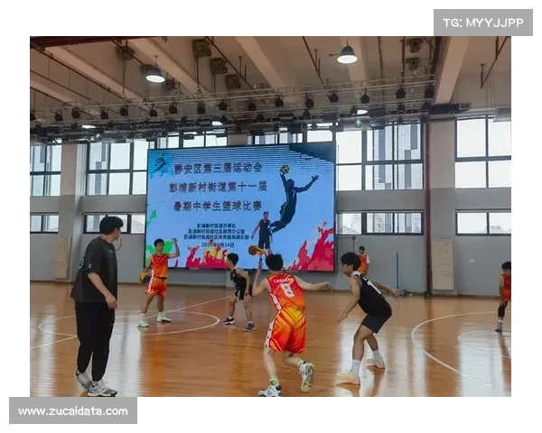 篮球游戏对青少年参与体育运动的影响